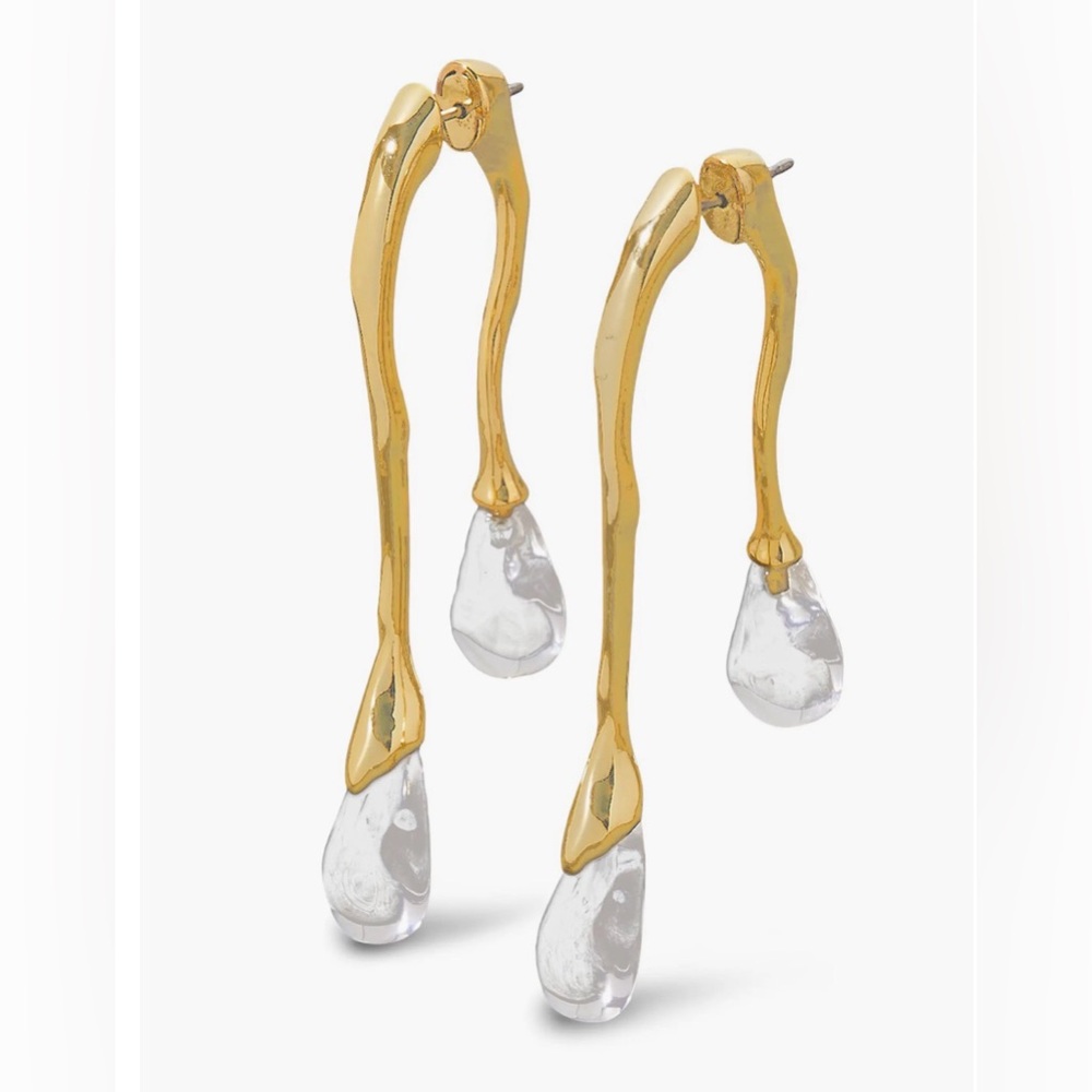 NWT ⚜️💧⚜️ Camila Coelho Lucite Front Back Double Drop Earrings